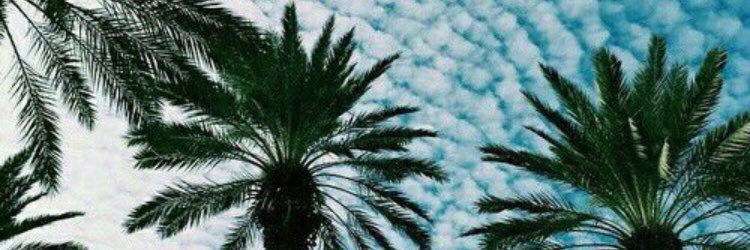 steph_deleo's profile banner image