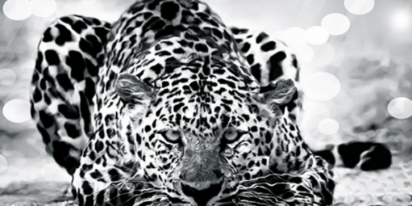 Aly__xx's profile banner image
