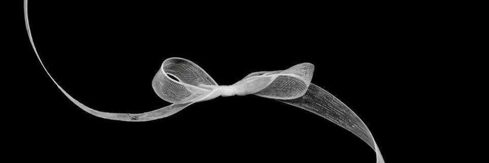 ㅋㅏ☠︎† banner