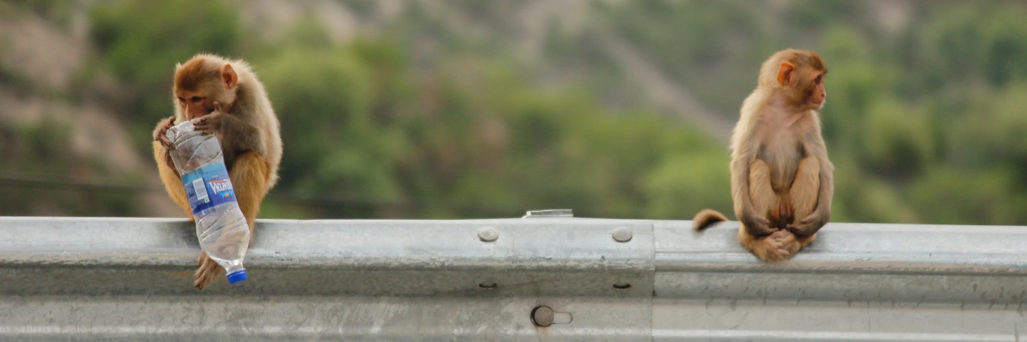 Oyesame's profile banner image