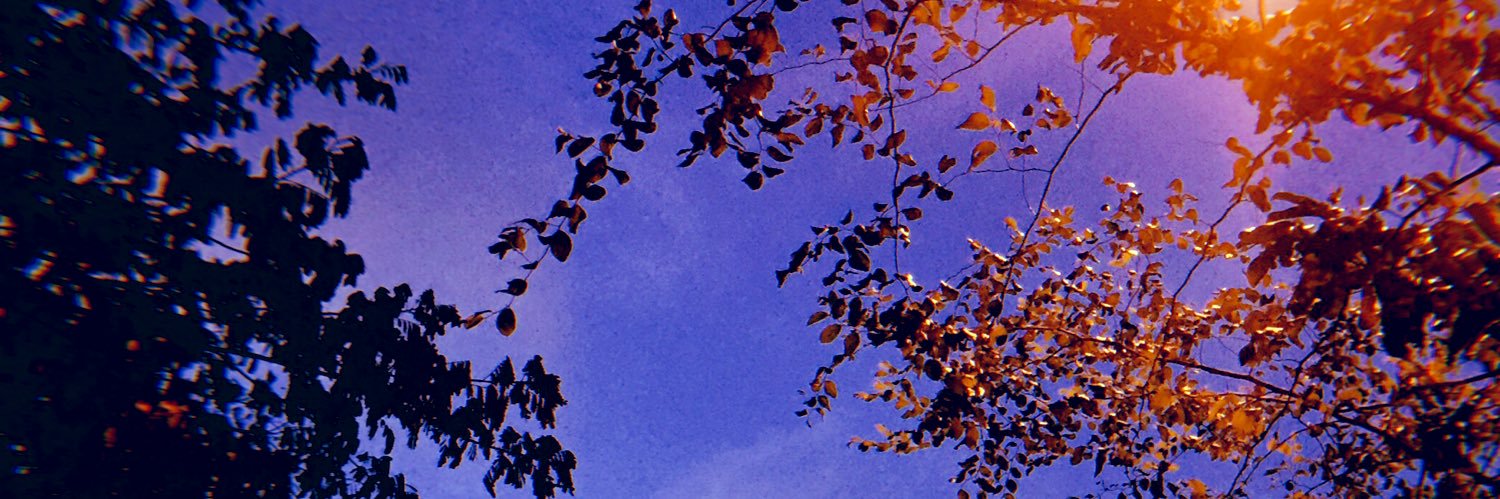 RiskaAnggrainn's profile banner image