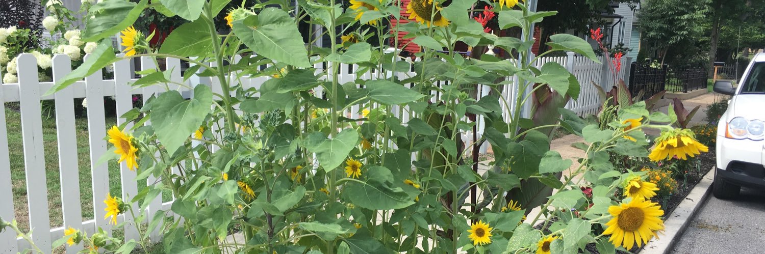 Eileen H Sanchez banner