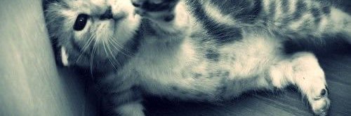 bbinduttt's profile banner image