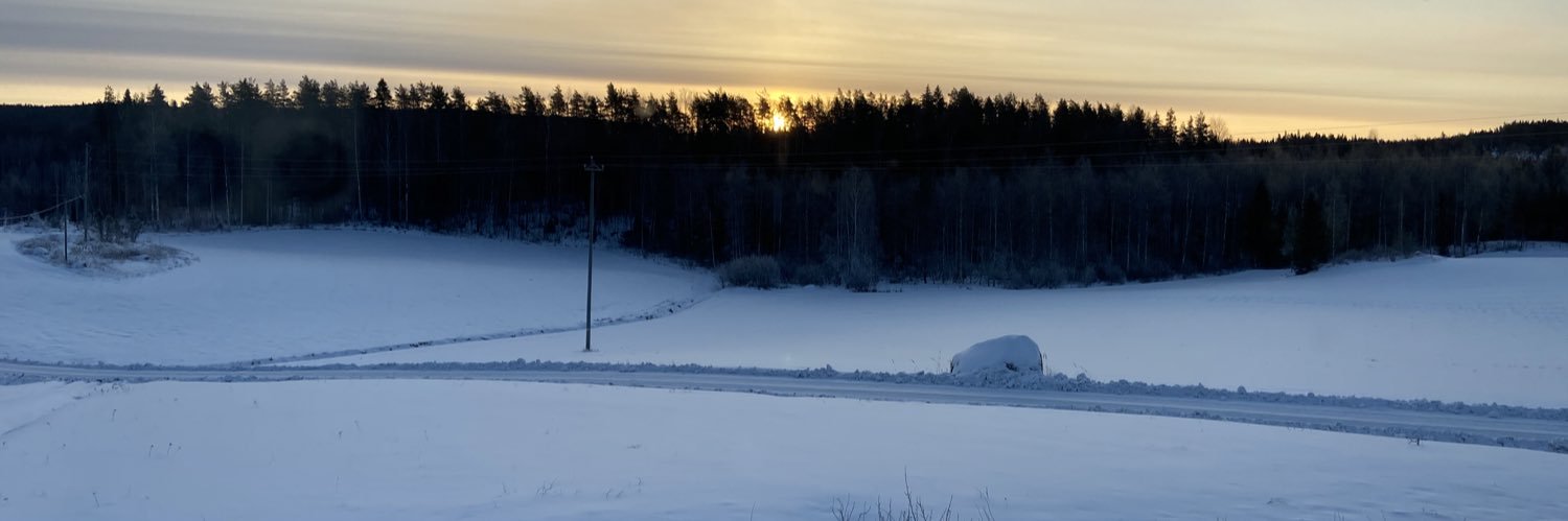WannElli's profile banner image