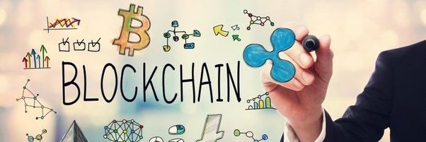 cryptowikihere's profile banner image