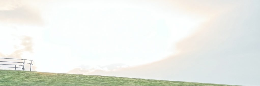 まるのおとりひき banner
