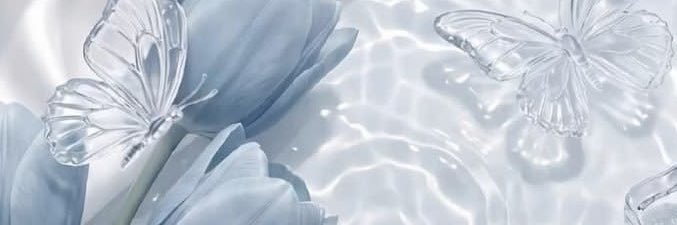 ini09151103's profile banner image