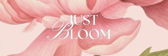 ⋆. 𐙚 ˚ kin²⁷ banner