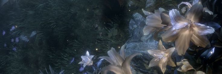 lily of the valley banner