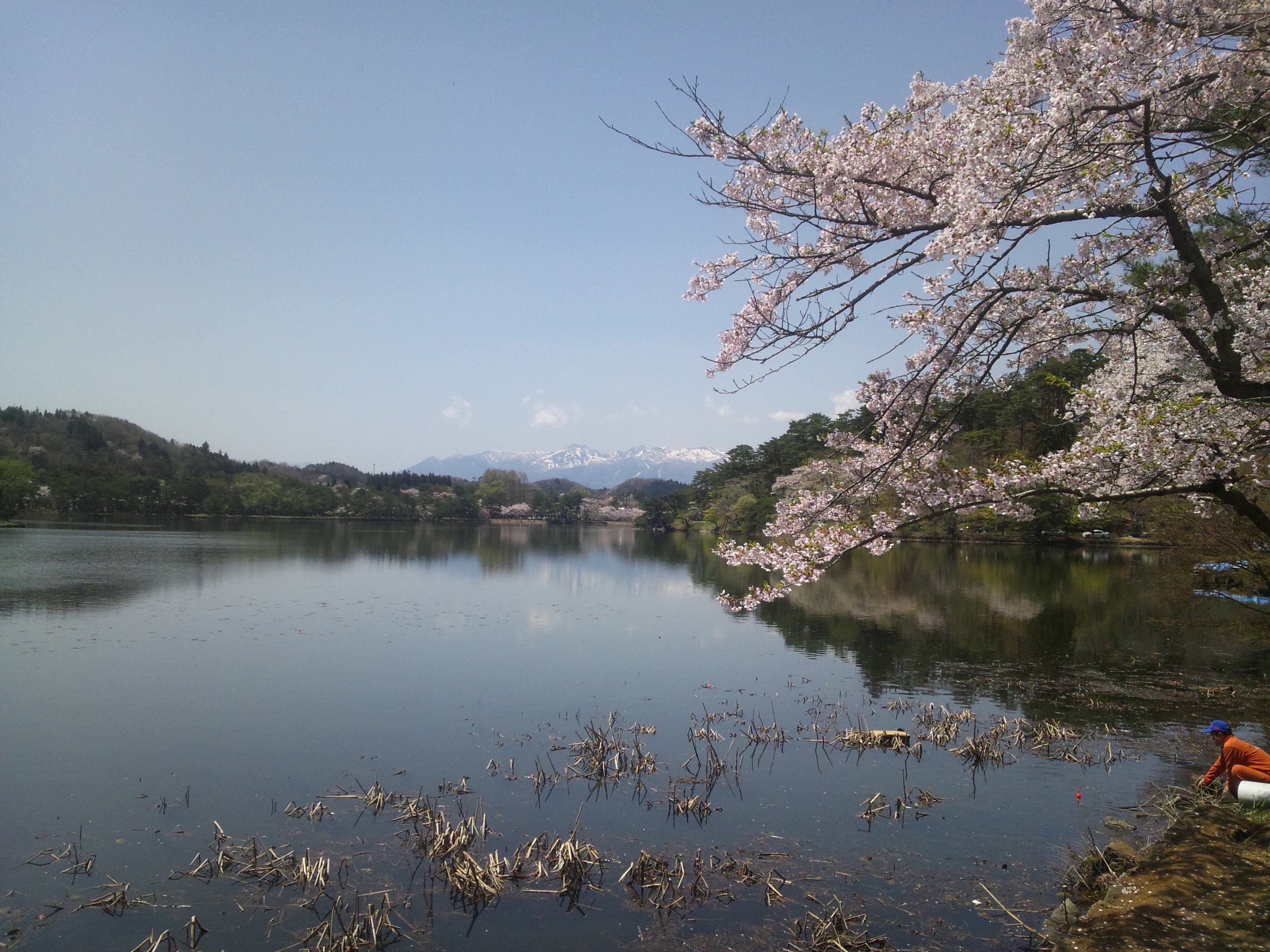 fukuyamam01's profile banner image