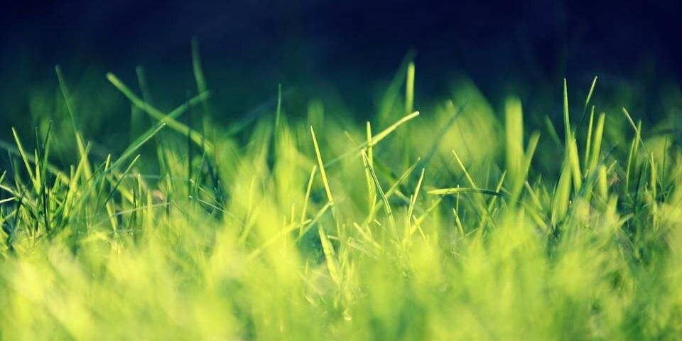 johanderohan's profile banner image