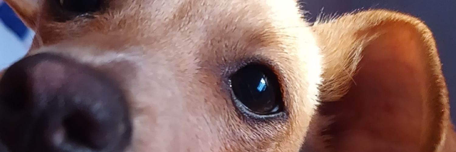 pamway5's profile banner image