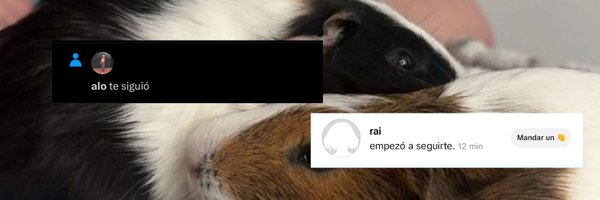 _aam1raa Profile Banner