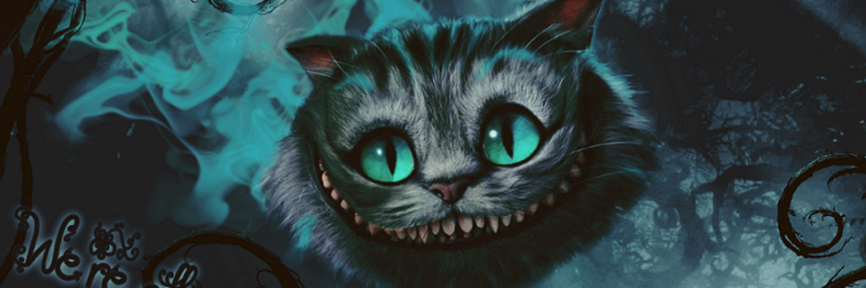MisatoChels's profile banner image