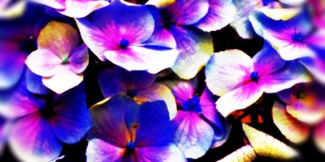 blue_bird64's profile banner image