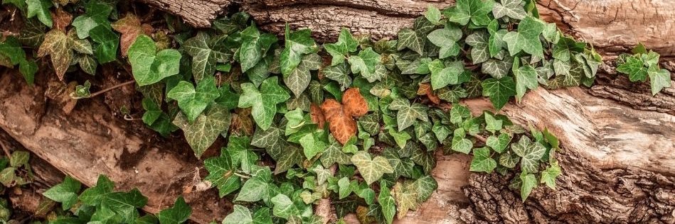 only happy when it pains banner