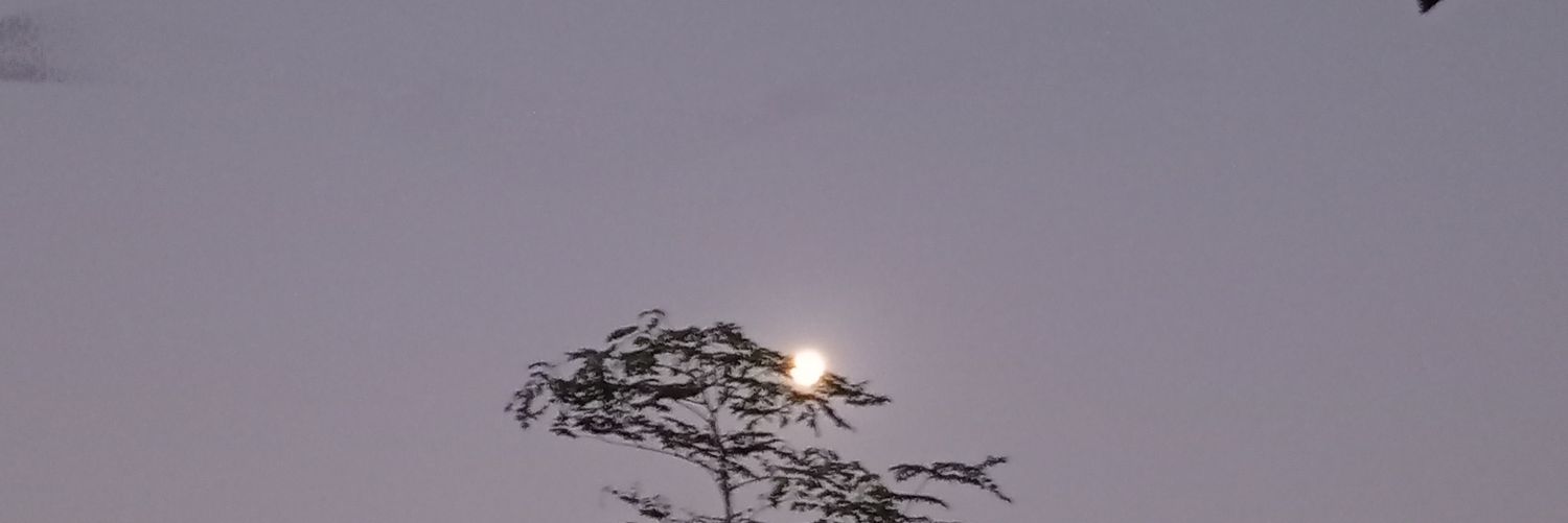 jannotama's profile banner image