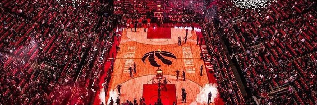 Everything Raptors's banner