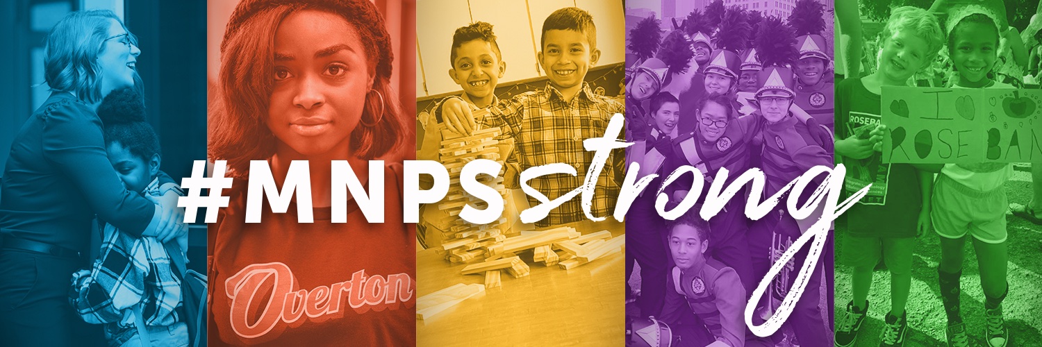 MNPS en  español banner