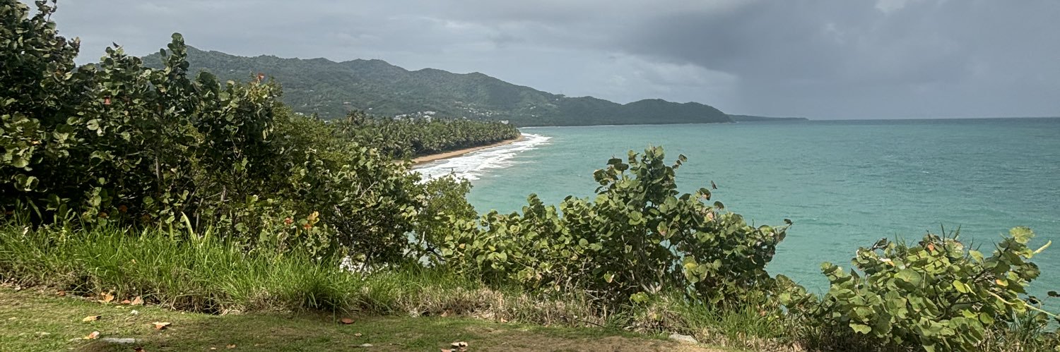 Nicholas Dmitrieff banner