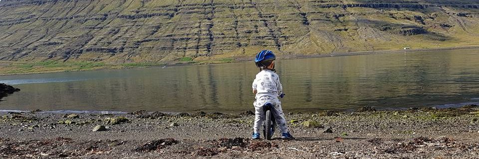 Stefán Arason banner