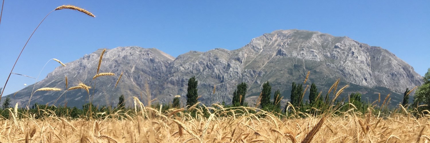 alimerdogan's profile banner image