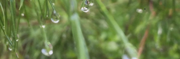 science4fifth Profile Banner