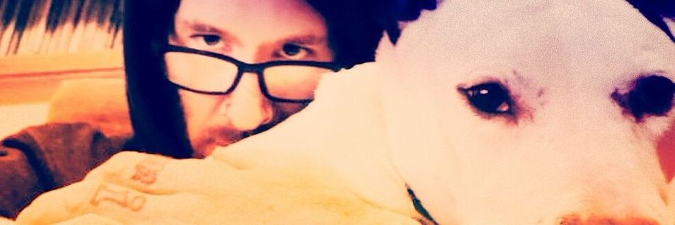 greeze's profile banner image