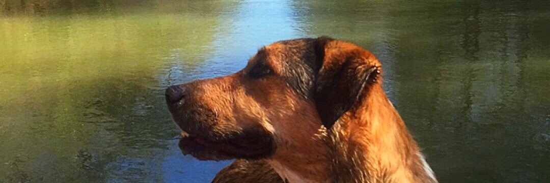 liza_would's profile banner image
