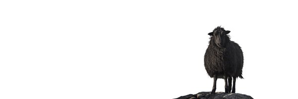 BBHblacksheep Profile Banner