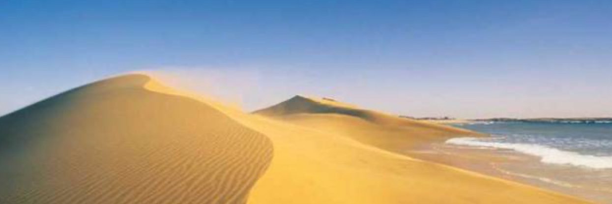 Ⓘⓡⓘⓝⓐ 🔭🔬🦧🦍🧬🦠😷 @imalinow.bsky.soc banner