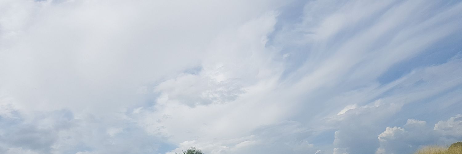 chrilex31's profile banner image