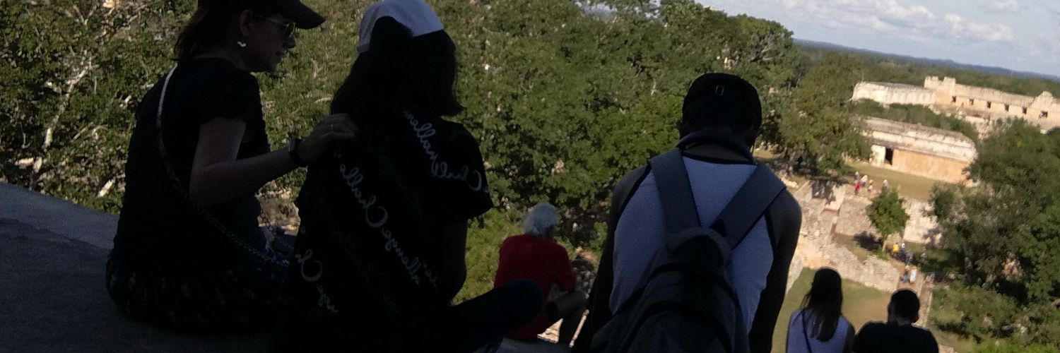 psandro73's profile banner image