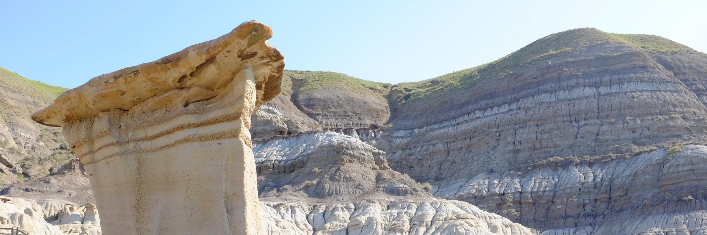 Tim Thompson 🇨🇦 banner