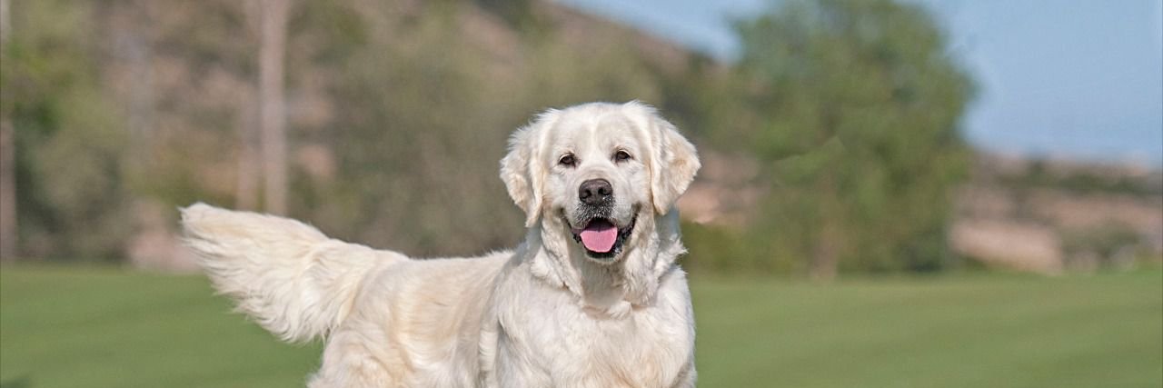 fidofidez's profile banner image
