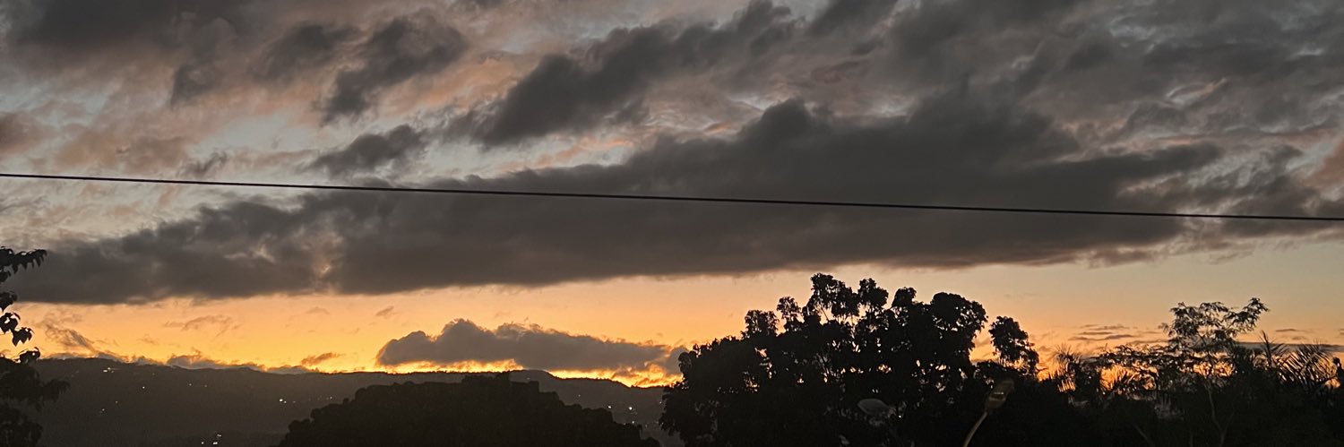 Ryy banner