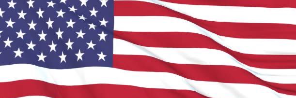 Leafin’ Lizard banner