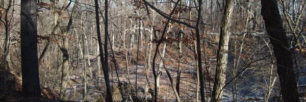 TashaRobinson Profile Banner