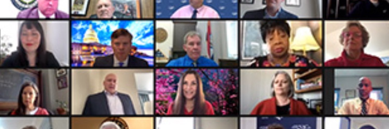 Mary Hamann-Roland banner