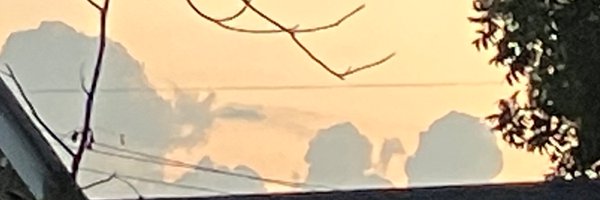 Seperatemepls Profile Banner