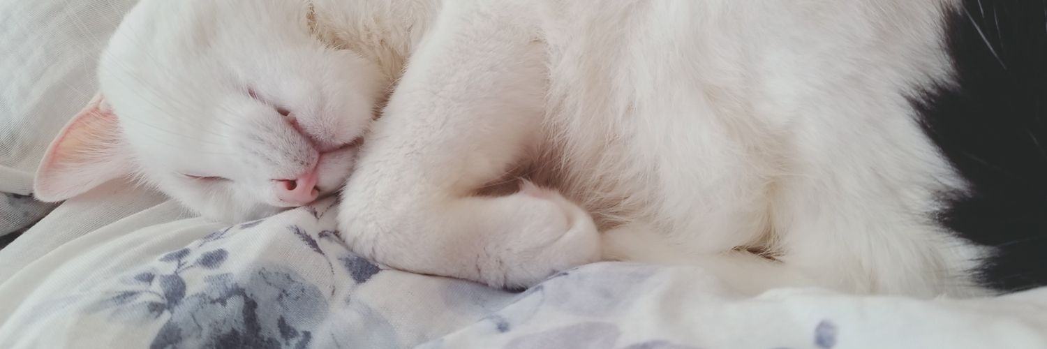 mint1124's profile banner image