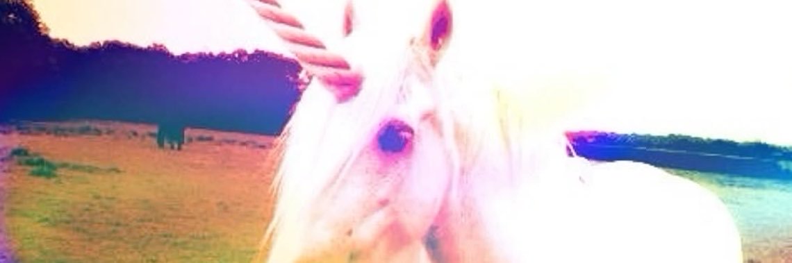 evilkittycat8's profile banner image