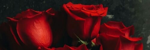 _xFrancesca_'s profile banner image