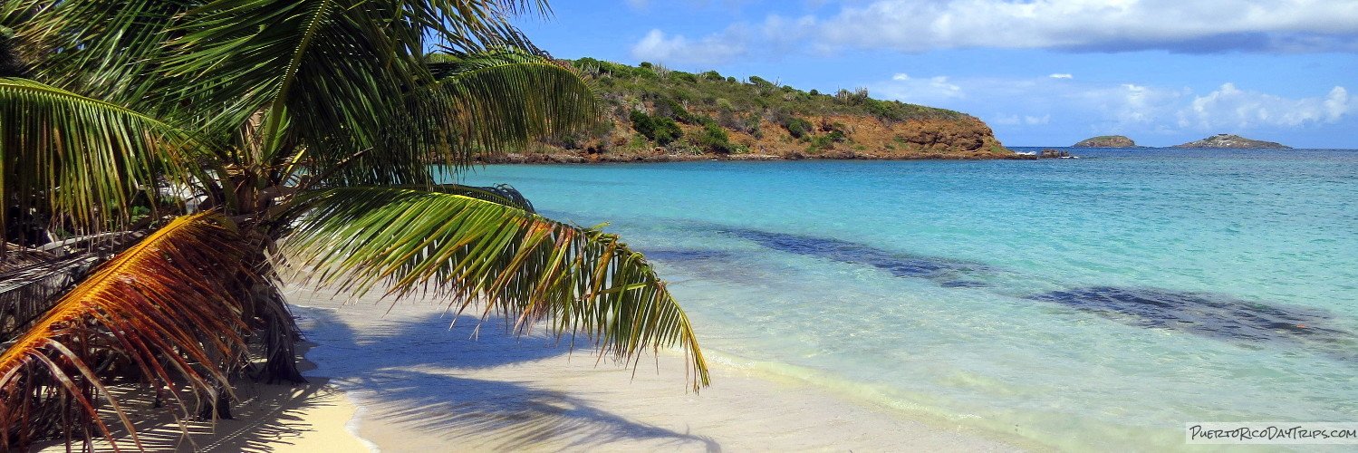 PuertoRicoDayTrips's banner