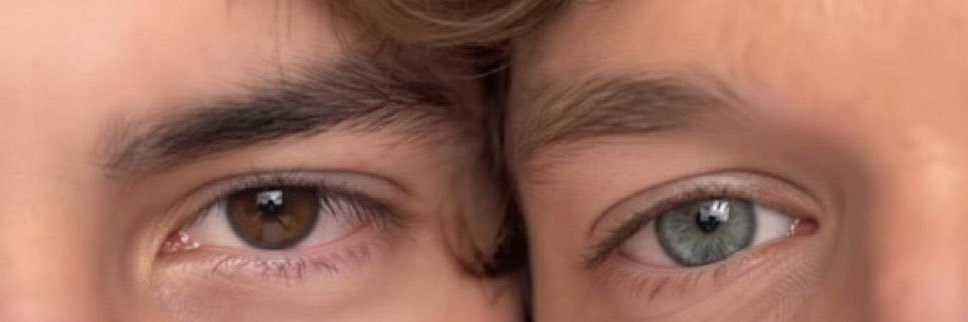 Ari 🦋• Hollanov’s daughter 🏒 banner