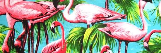 Hellochamo's profile banner image