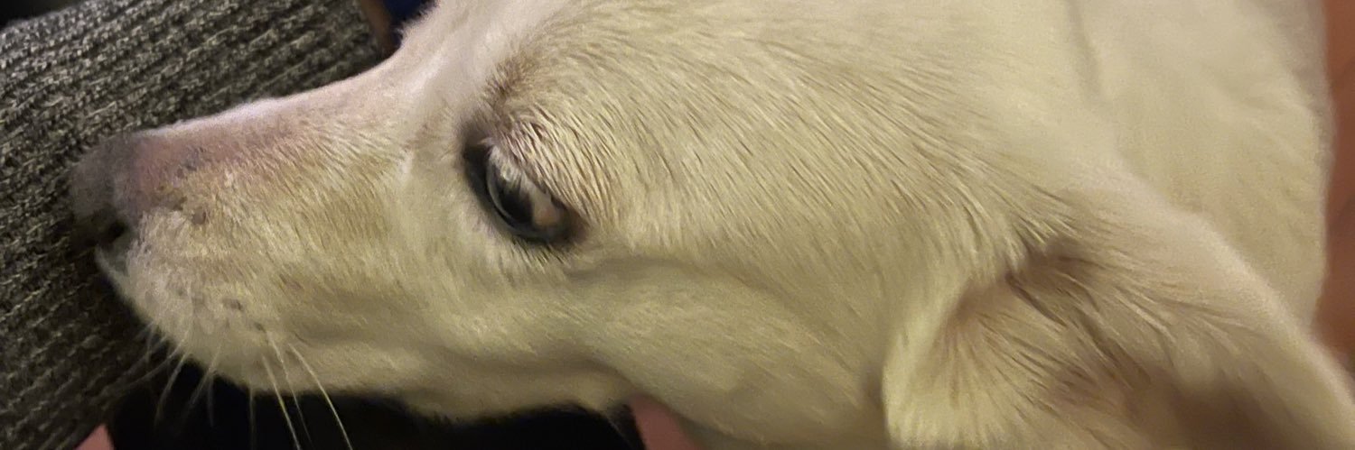 EdaefeEda's profile banner image