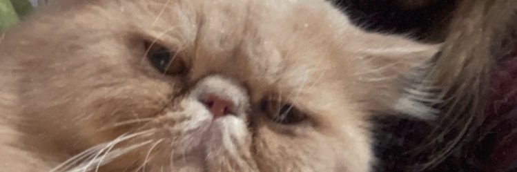 JennFGlez's profile banner image