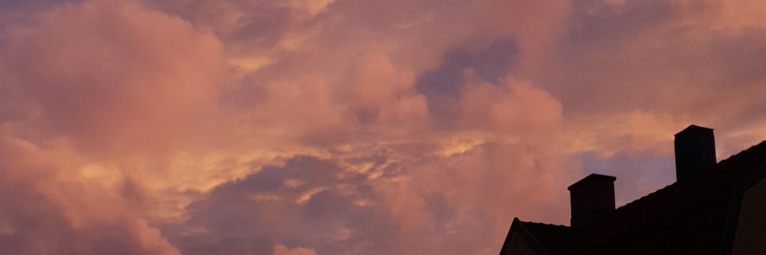petitetako's profile banner image