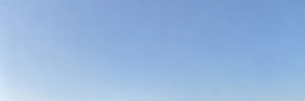 gus_trades's profile banner image